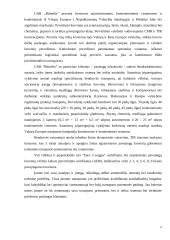 Įmonės analizė: krovinių pervežimas UAB "Bitinėlis" 5 puslapis