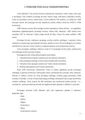 Įmonės analizė: krovinių pervežimas UAB "Bitinėlis" 10 puslapis
