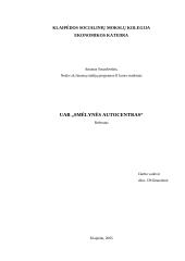 Įmonės analizė: UAB "Smėlynės autocentras"