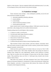 Įmonės analizė: valymo paslaugos IĮ "Eglija" 8 puslapis