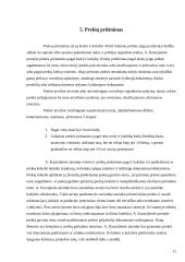 Įmonės aprašymas: individuali įmonė - prekyba maisto produktais 11 puslapis