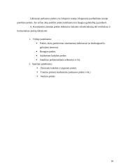 Įmonės aprašymas: individuali įmonė - prekyba maisto produktais 16 puslapis