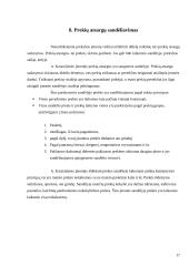 Įmonės aprašymas: individuali įmonė - prekyba maisto produktais 17 puslapis