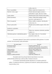 Įmonės aprašymas: individuali įmonė - prekyba maisto produktais 3 puslapis