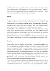 Įmonės aprašymas: saldainių gamyba  ir kavinės paslaugos UAB "Saldainių šalis" 6 puslapis