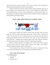 Įmonės asortimento analizė: "Joglė" 10 puslapis