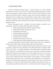 Įmonės ekonominiai tikslai ir veiklos formos 13 puslapis