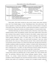 Įmonės ekonominiai tikslai ir veiklos formos 16 puslapis