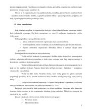 Įmonės ekonominiai tikslai ir veiklos formos 6 puslapis