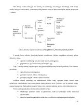 Įmonės ekonominiai tikslai ir veiklos formos 10 puslapis