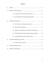 Įmonės finansinė analizė: UAB "Jaunystė" 2 puslapis