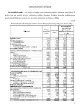 Įmonės finansinė analizė: UAB "Jaunystė" 4 puslapis