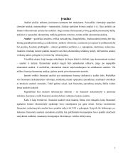 Įmonės finansinės būklės analizė 2 puslapis