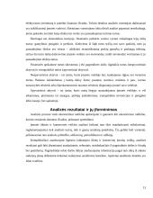 Įmonės finansinės būklės analizė 12 puslapis