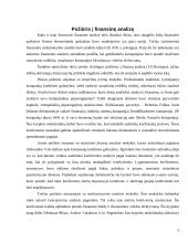 Įmonės finansinės būklės analizė 4 puslapis