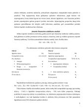 Įmonės finansinės būklės analizė 8 puslapis