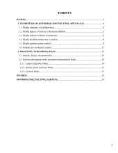 Įmonės išlaidų analizė: "Rytas"