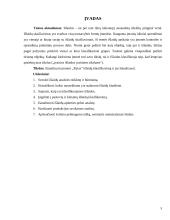 Įmonės išlaidų analizė: "Rytas" 2 puslapis