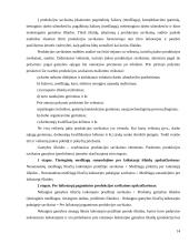 Įmonės išlaidų analizė: "Rytas" 11 puslapis