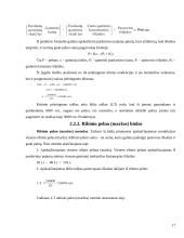 Įmonės išlaidų analizė: "Rytas" 14 puslapis