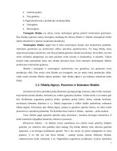 Įmonės išlaidų analizė: "Rytas" 4 puslapis