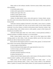 Įmonės išlaidų analizė: "Rytas" 6 puslapis