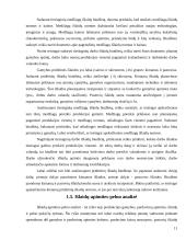 Įmonės išlaidų analizė: "Rytas" 8 puslapis