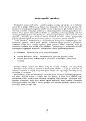 Įmonės išorinės aplinkos analizė: restoranas UAB "Brodvėjaus Pica" 3 puslapis