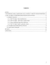 Įmonės konkurencinės pozicijos vertinimas: langų gamintojai UAB "Via Regia" 2 puslapis