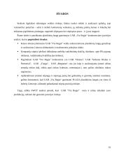 Įmonės konkurencinės pozicijos vertinimas: langų gamintojai UAB "Via Regia" 16 puslapis