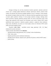 Įmonės konkurencinės pozicijos vertinimas: langų gamintojai UAB "Via Regia" 3 puslapis