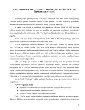 Įmonės konkurencinės pozicijos vertinimas: langų gamintojai UAB "Via Regia" 4 puslapis