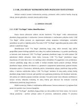 Įmonės konkurencinės pozicijos vertinimas: langų gamintojai UAB "Via Regia" 6 puslapis