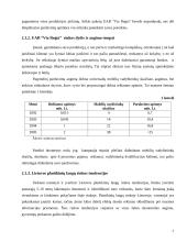 Įmonės konkurencinės pozicijos vertinimas: langų gamintojai UAB "Via Regia" 7 puslapis