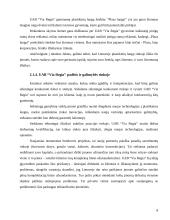 Įmonės konkurencinės pozicijos vertinimas: langų gamintojai UAB "Via Regia" 8 puslapis