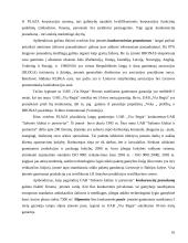 Įmonės konkurencinės pozicijos vertinimas: langų gamintojai UAB "Via Regia" 10 puslapis