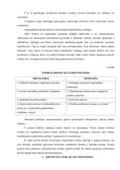 Įmonės kultūra ir politika – personalo vadybos bazė 6 puslapis