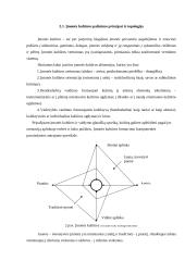 Įmonės kultūra ir politika – personalo vadybos bazė 7 puslapis