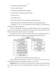 Įmonės kūrimo organizavimo analizė 11 puslapis