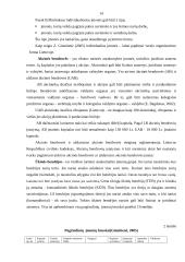 Įmonės kūrimo organizavimo analizė 12 puslapis