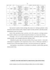 Įmonės kūrimo organizavimo analizė 13 puslapis