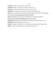 Įmonės kūrimo organizavimo analizė 18 puslapis