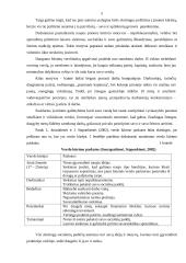 Įmonės kūrimo organizavimo analizė 3 puslapis