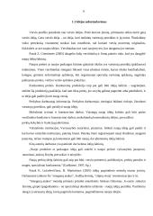 Įmonės kūrimo organizavimo analizė 4 puslapis