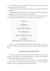 Įmonės kūrimo organizavimo analizė 5 puslapis