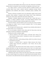 Įmonės kūrimo organizavimo analizė 6 puslapis