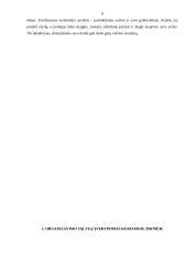 Įmonės kūrimo organizavimo analizė 7 puslapis
