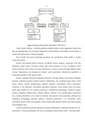 Įmonės kūrimo organizavimo analizė 9 puslapis