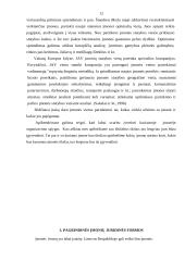 Įmonės kūrimo organizavimo analizė 10 puslapis