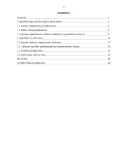 Įmonės organizacinė struktūra ir valdymas 2 puslapis